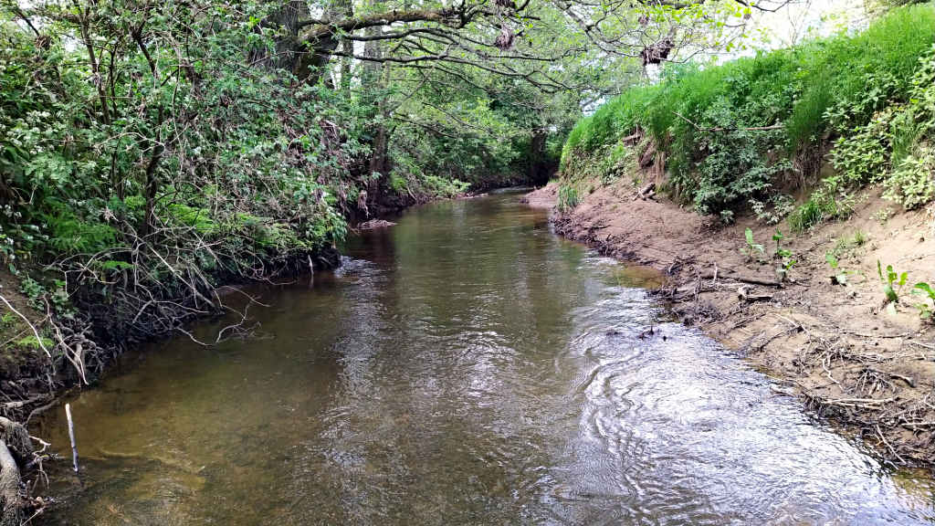 Photo of the beck looking inviting
